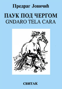 Паук под чергом